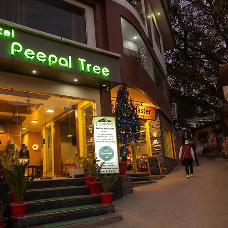 Hotel Peepal Tree Risikés Kültér fotó